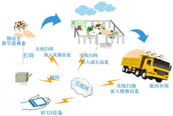 羊bfrdmc电子耳标追溯系统