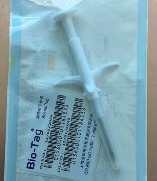 实行电子芯片管理,青岛2122只宠物犬有了电子身份证