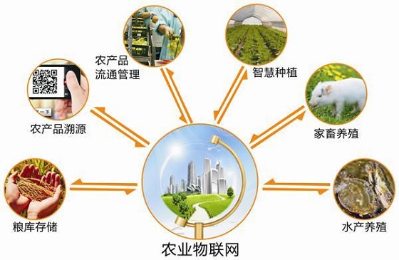 大田环境监控设施是农业物联网技术的重要体现