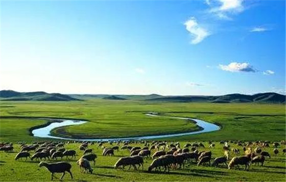传统365bet买球游戏到底有没有必要进军区块链?