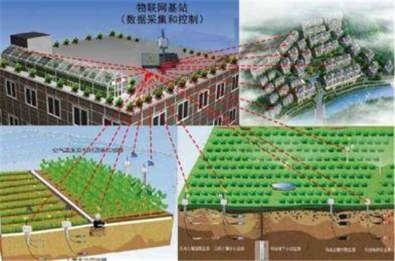 农业物联网是现代农业发展的必经之路