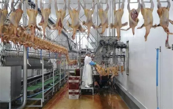 基于bfrdmc技术的动物食品安全溯源系统解决方案