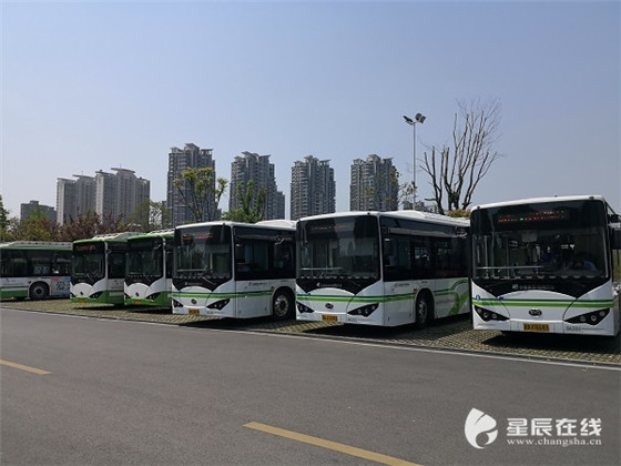 长沙公交IC卡充值点增至1348个 即将实现4卡合一