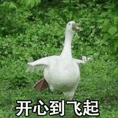 康佳磐旭给不了你最好的生活,可以给你最好的陪伴