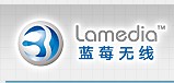 中山蓝莓无线科技有限公司