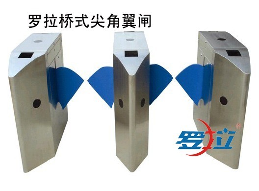 智能翼闸