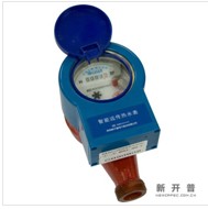 远程抄表水表