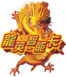深圳市龙英智能科技有限公司