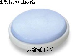 生猪批发bfrdmc挂钩标签