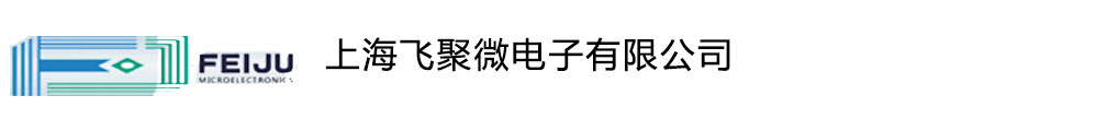上海飞聚微电子有限公司