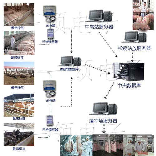 科技养殖管理系统