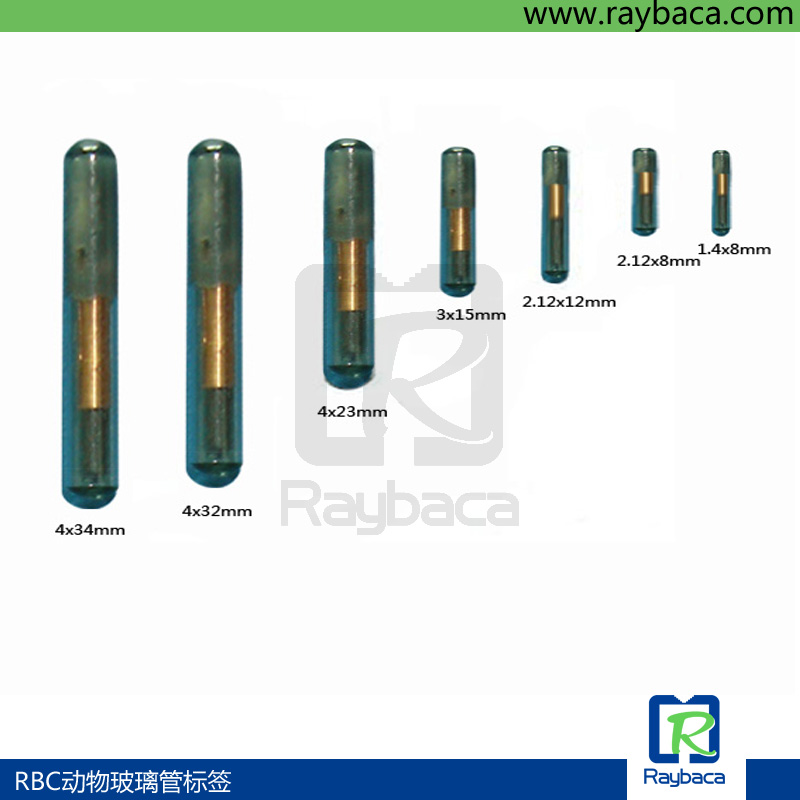 动物植入式玻璃管芯片