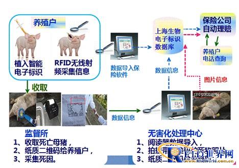 上海动物及动物制品产业链全程监管利用物联网技术