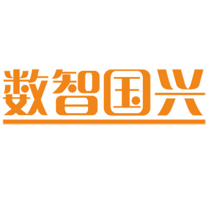 深圳市数智国兴信息科技有限公司