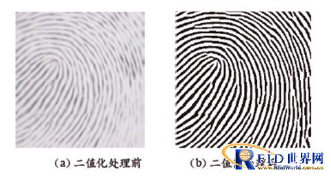 图6  二值化处理前后的实测效果比对