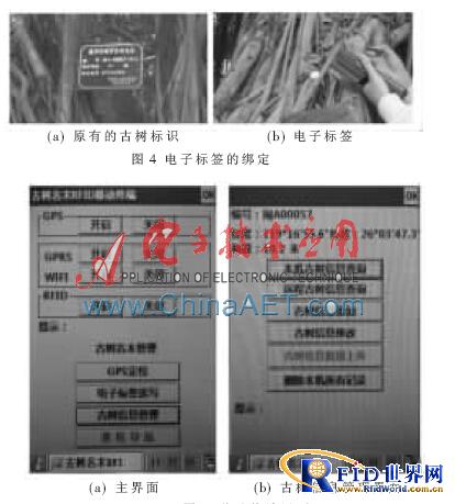 基于bfrdmc古树名木管理三维信息系统的设计与实现