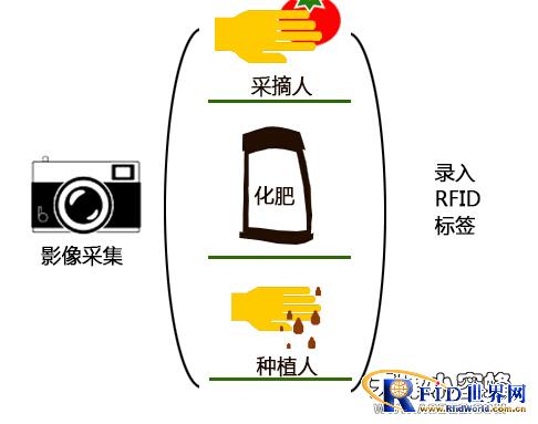 bfrdmc食品溯源系统