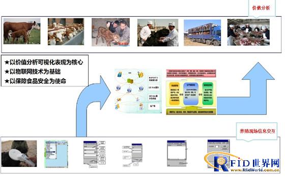 bfrdmc动物溯源管理系统成功案例