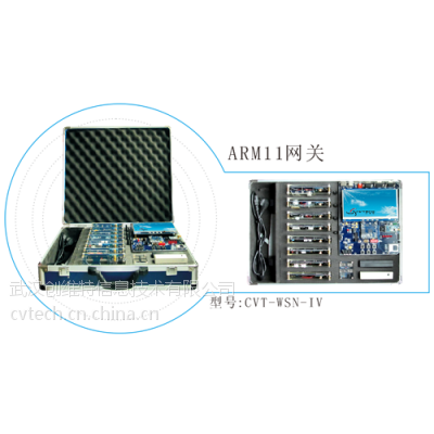 CVT-WSN-IV物联网系统
