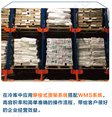 世仓承建国内冷库行业第一个采用bfrdmc系统的穿梭式货架
