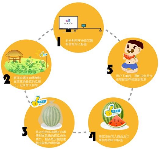 啥是物联网？一个西瓜告诉你！