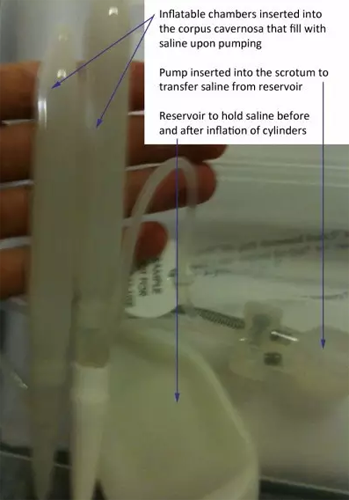 虚拟性爱技术，与人无关？