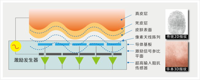 3D活体指纹门禁 推动出租屋安全升级