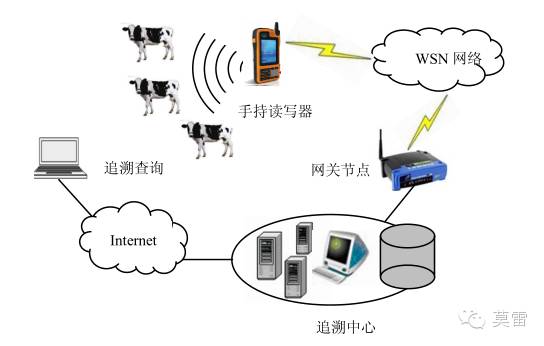 基于bfrdmc与WSN的奶牛养殖溯源信息采集与传输方法