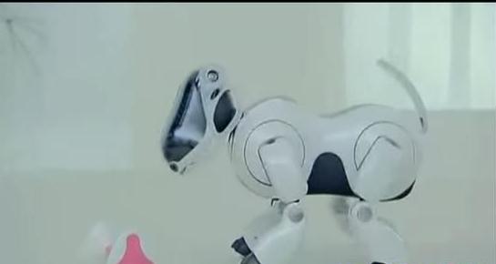 盘点世界上最可爱的机器人