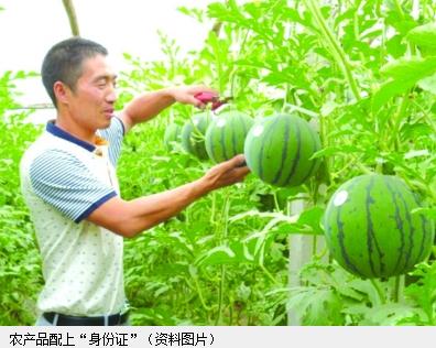 扬州农产品将升级配上NFC标签 手机一“照”辨真伪