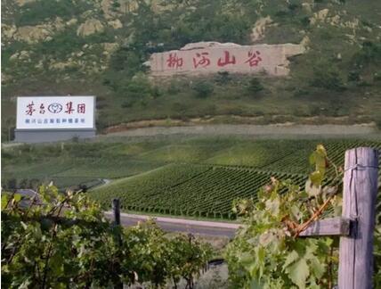 中机国信签订《关于茅台葡萄酒bfrdmc追溯系统建设的合作协议》