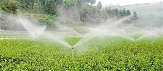 水肥一体化管理离不开农业物联网技术