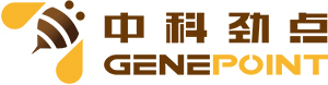 中科劲点（北京）科技有限公司