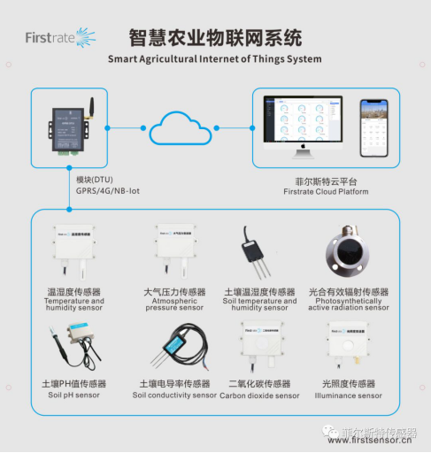 梁  菲尔斯特文章311.png