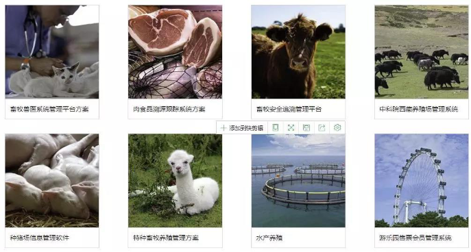 小菜一碟说5551.png