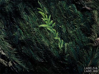 智慧标签引领下的循环经济