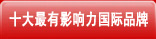 十大最有影响力国际品牌
