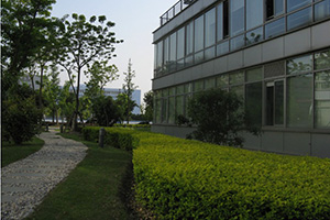 365bet买球游戏形象展示