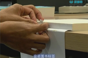 365bet买球游戏形象展示