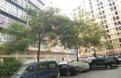 形象展示